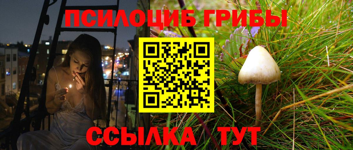 Псилоцибиновые грибы прущие грибы  Галлюциногенные грибы GOLDEN TEACHER  купить   Владивосток  Вход с VPN 